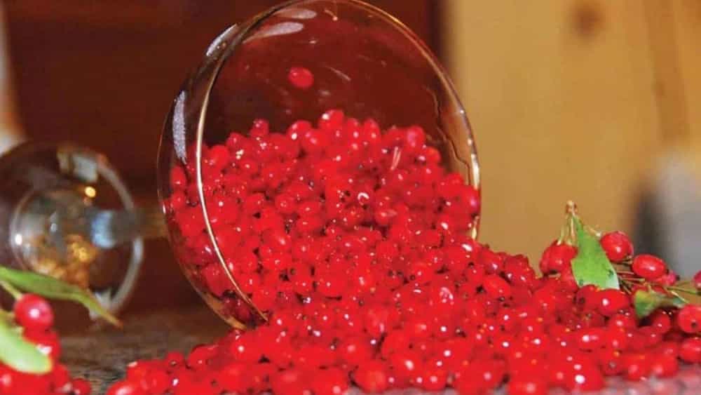 فروش زرشک پفکی در فروشگاه جهان زعفران